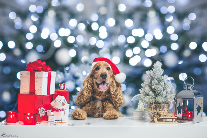 Noël, Christmas