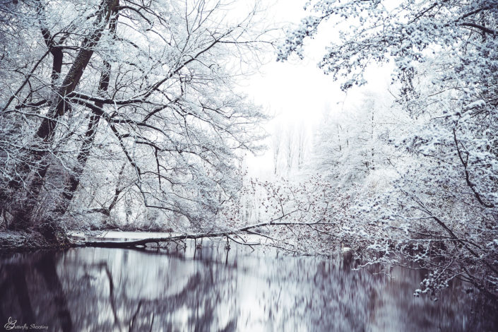 Neige, Snow