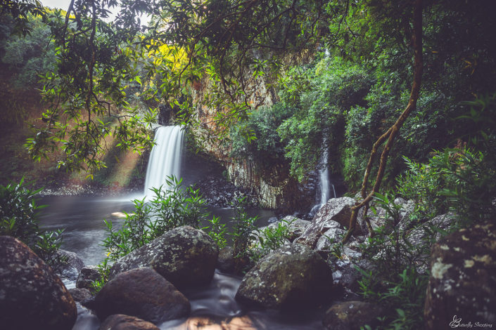 Bassin la Paix, Cascade Réunion